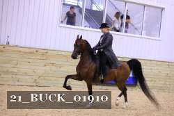 21_BUCK_01910 proof