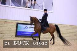 21_BUCK_01912 proof
