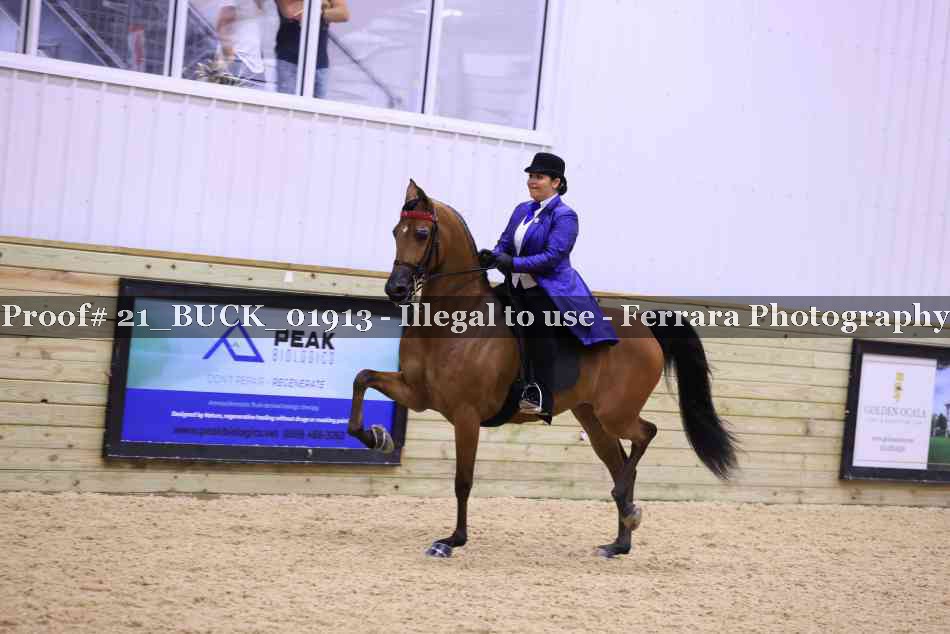 Proof 21_BUCK_01913