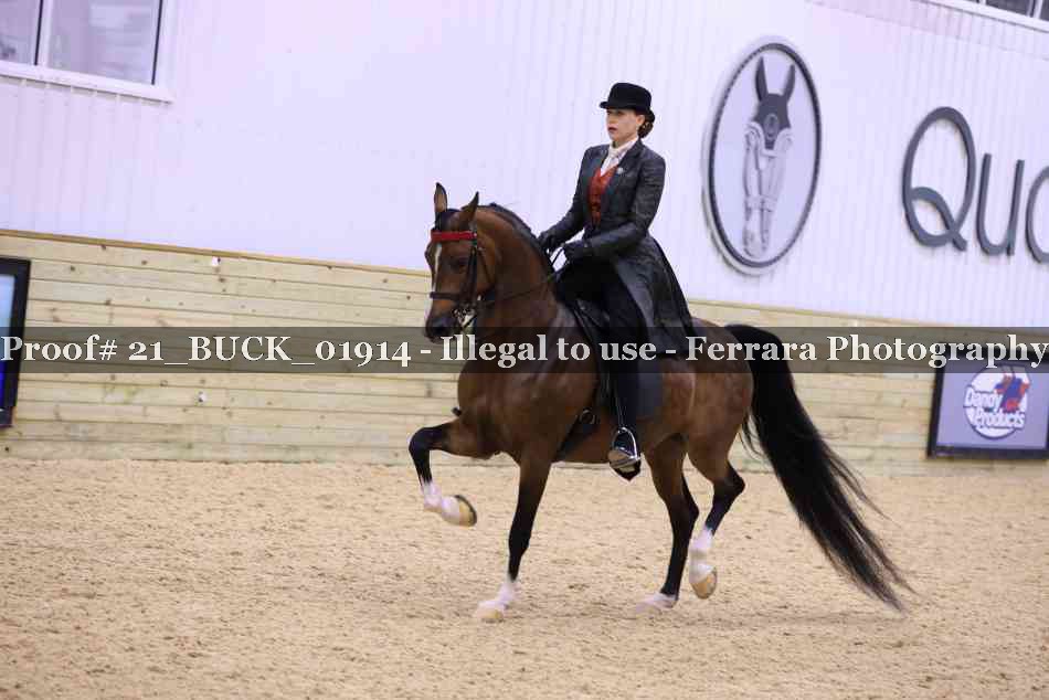 Proof 21_BUCK_01914