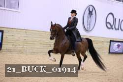 21_BUCK_01914 proof