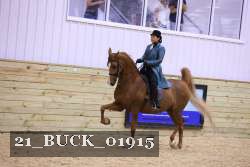 21_BUCK_01915 proof