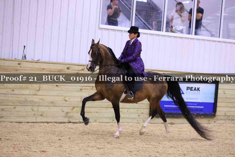 Proof 21_BUCK_01916