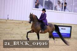 21_BUCK_01916 proof