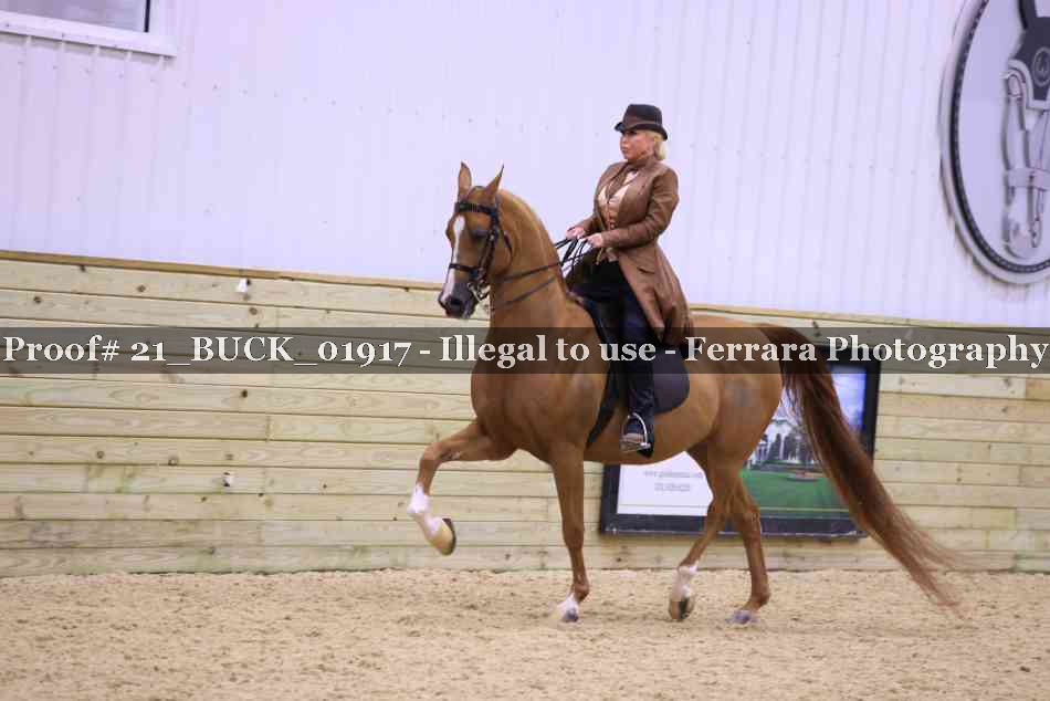 Proof 21_BUCK_01917
