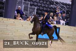 21_BUCK_01921 proof
