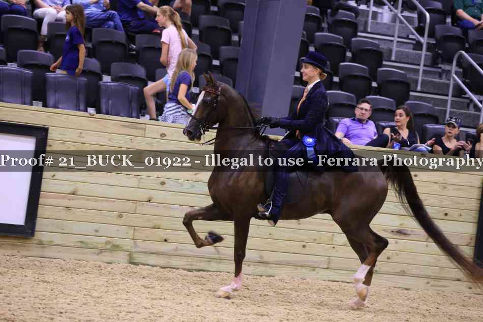 Proof 21_BUCK_01922