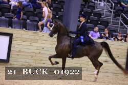 21_BUCK_01922 proof