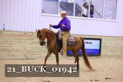 21_BUCK_01942 proof