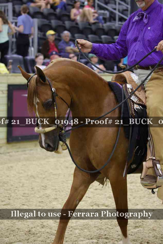 Proof 21_BUCK_01948