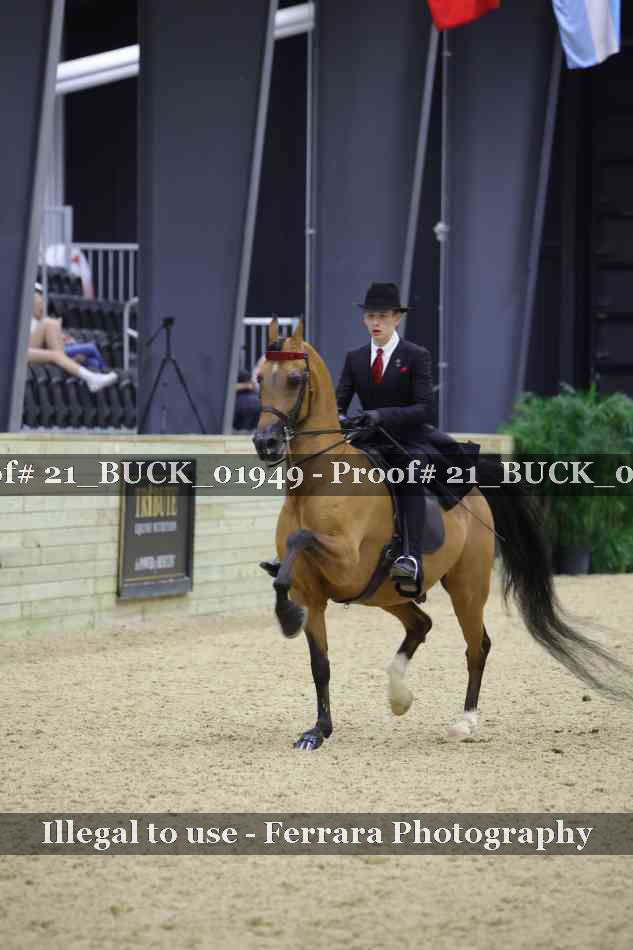 Proof 21_BUCK_01949