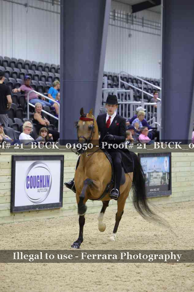 Proof 21_BUCK_01950