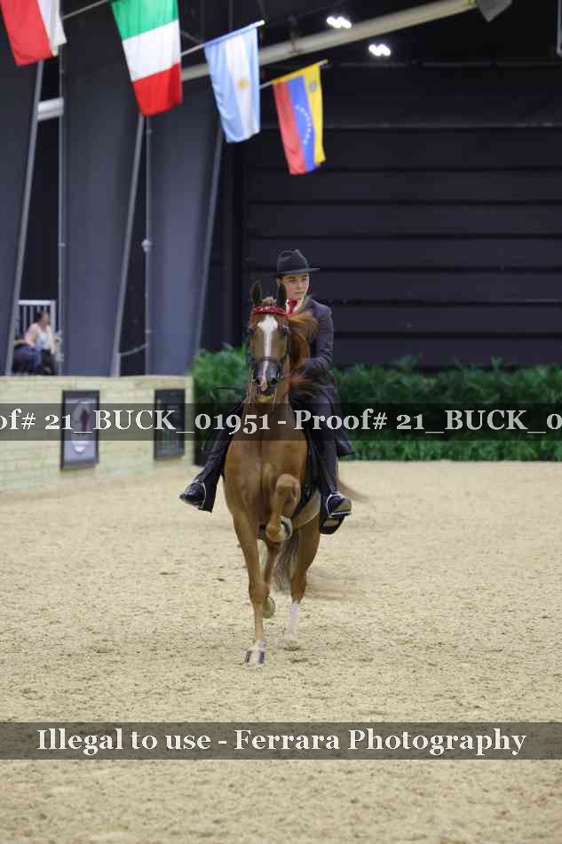Proof 21_BUCK_01951