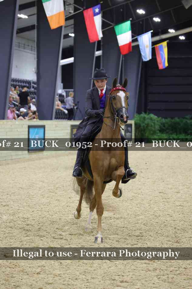 Proof 21_BUCK_01952