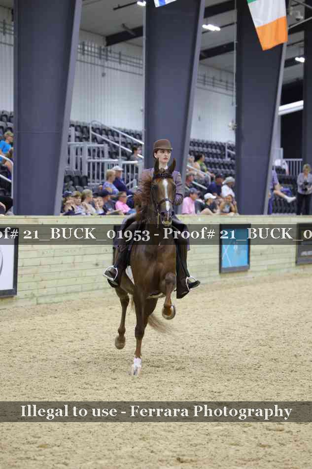 Proof 21_BUCK_01953