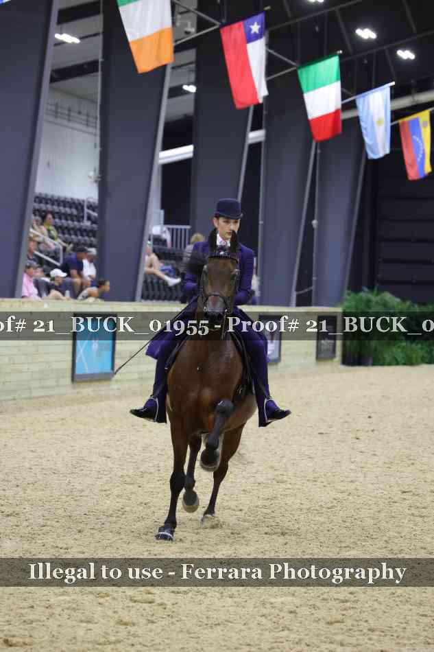Proof 21_BUCK_01955