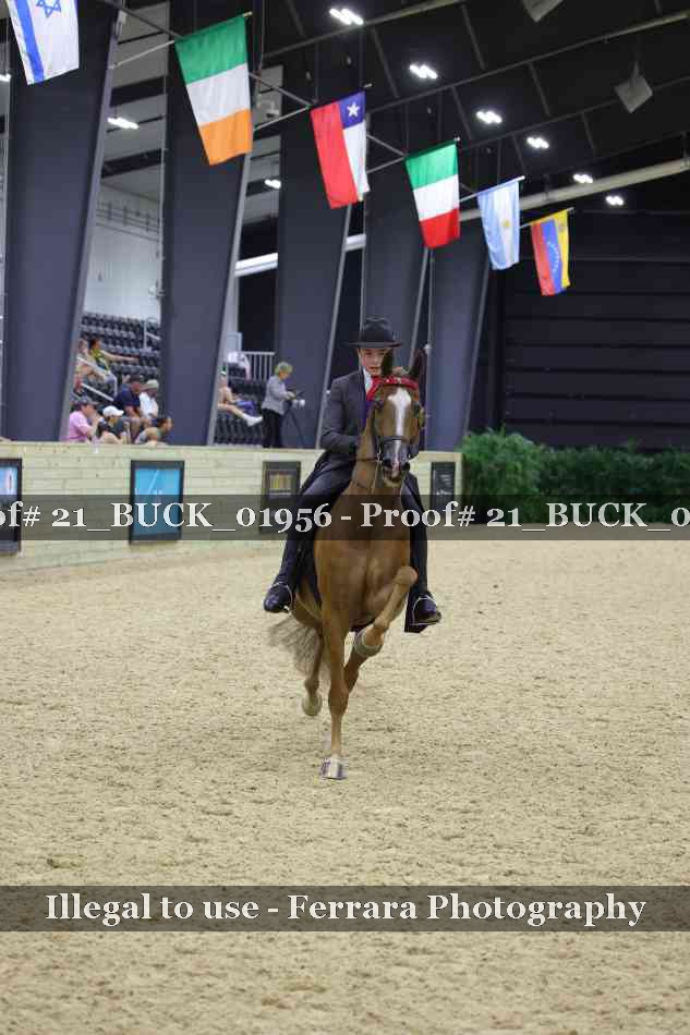 Proof 21_BUCK_01956