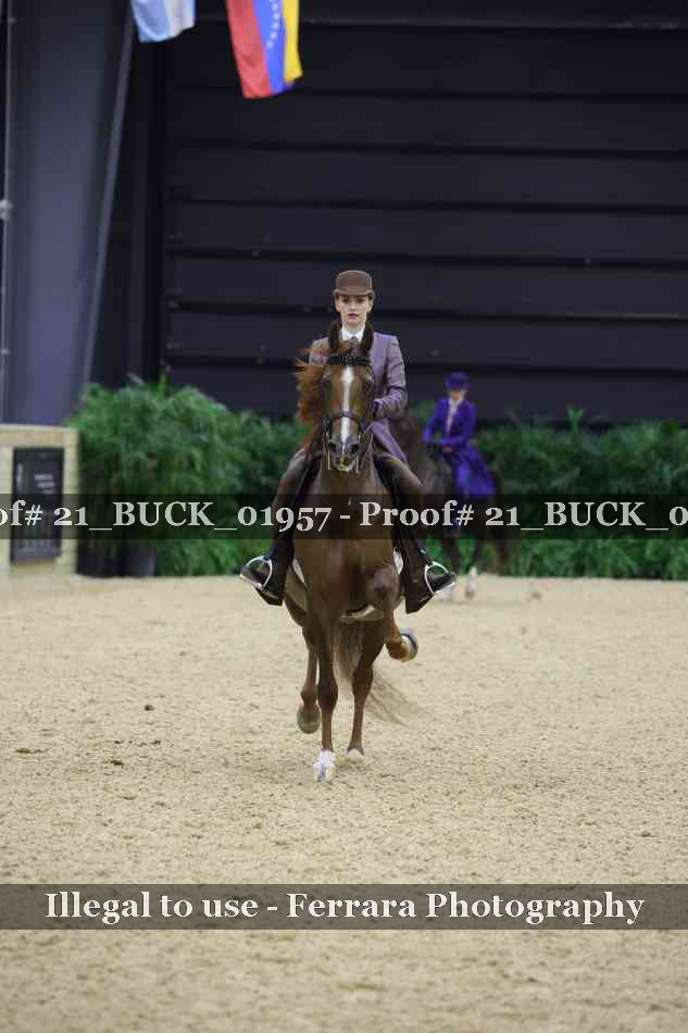 Proof 21_BUCK_01957
