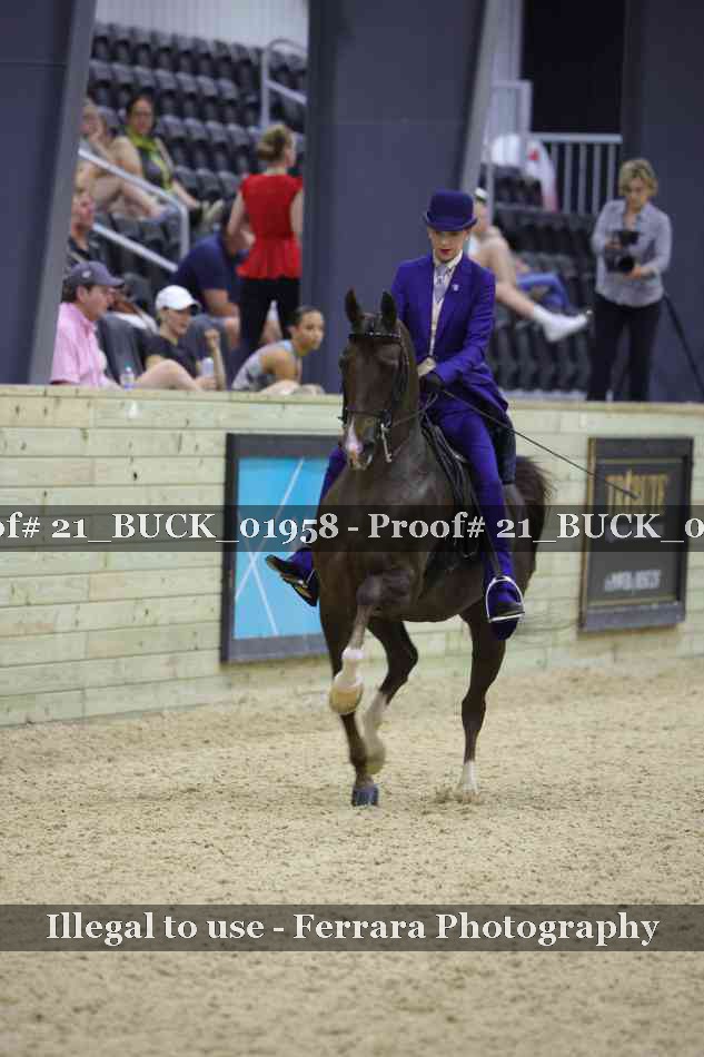Proof 21_BUCK_01958