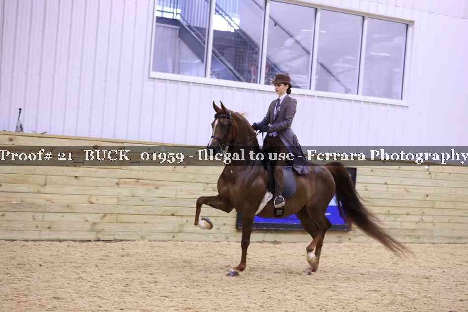 Proof 21_BUCK_01959