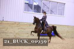 21_BUCK_01959 proof