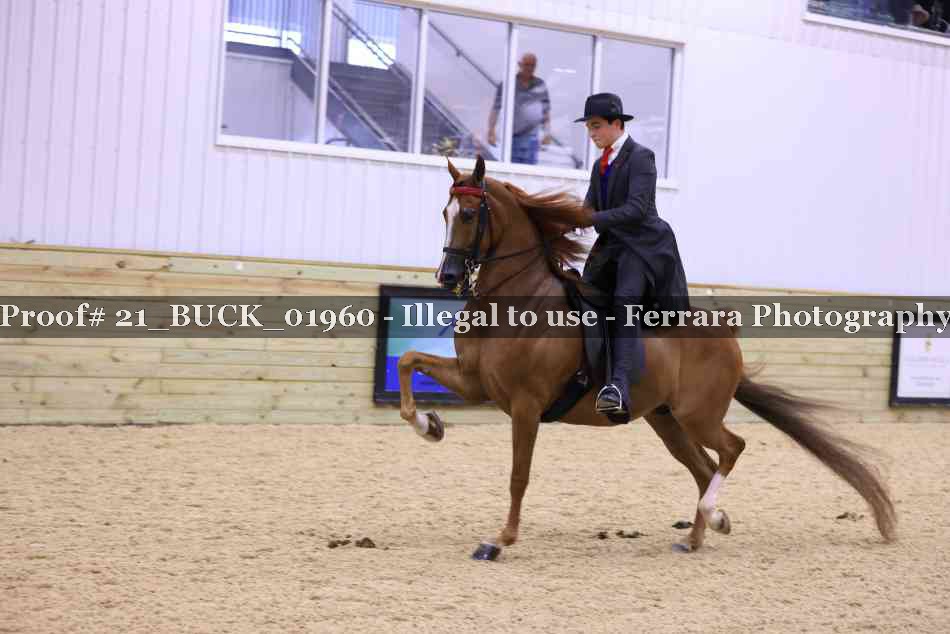 Proof 21_BUCK_01960