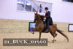 21_BUCK_01960 proof