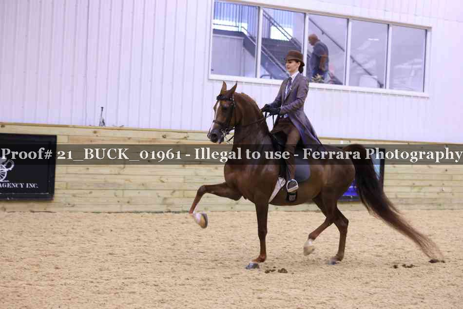 Proof 21_BUCK_01961
