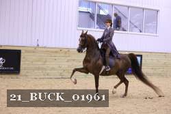 21_BUCK_01961 proof