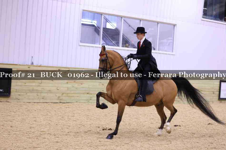 Proof 21_BUCK_01962