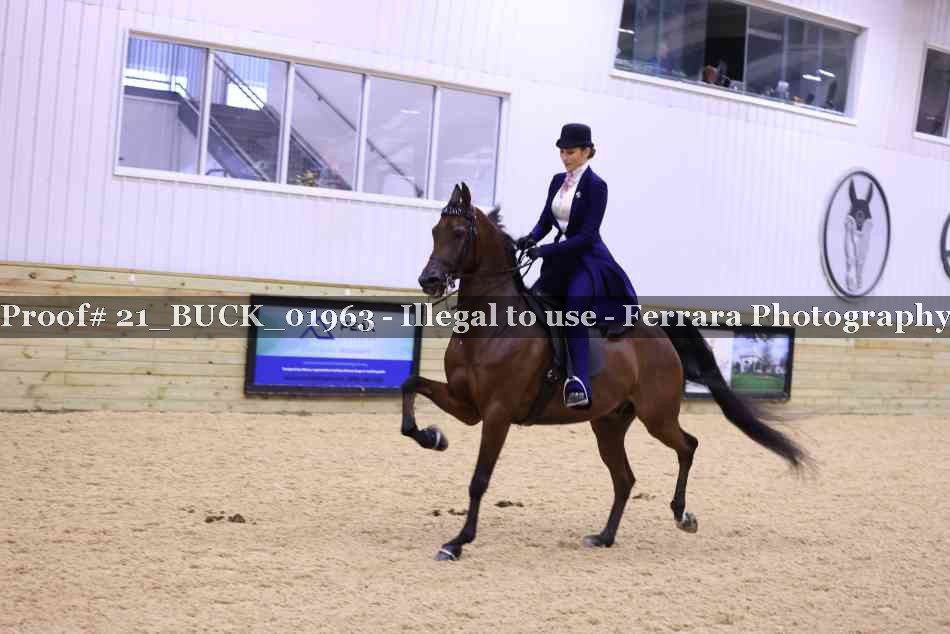 Proof 21_BUCK_01963