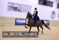 21_BUCK_01963 proof