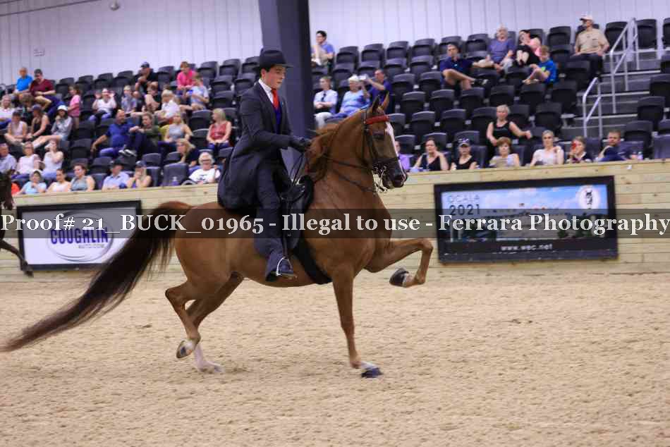 Proof 21_BUCK_01965