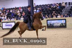 21_BUCK_01965 proof