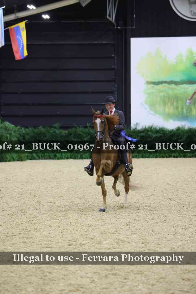 Proof 21_BUCK_01967