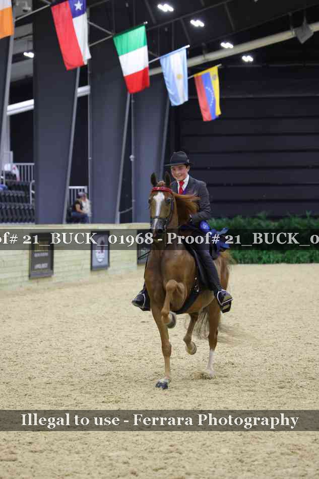 Proof 21_BUCK_01968