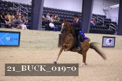 21_BUCK_01970 proof