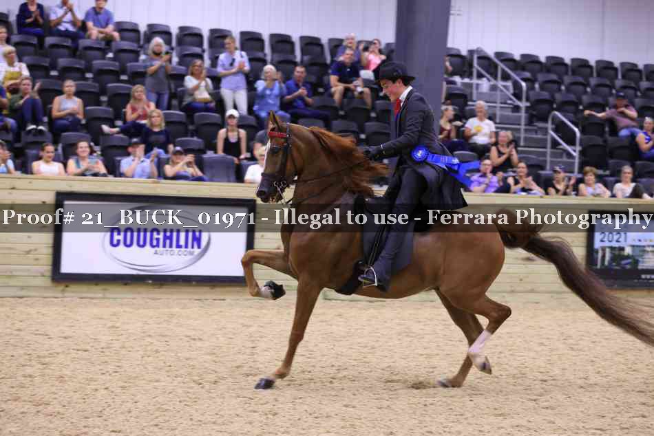 Proof 21_BUCK_01971