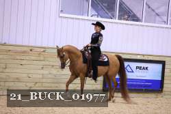 21_BUCK_01977 proof