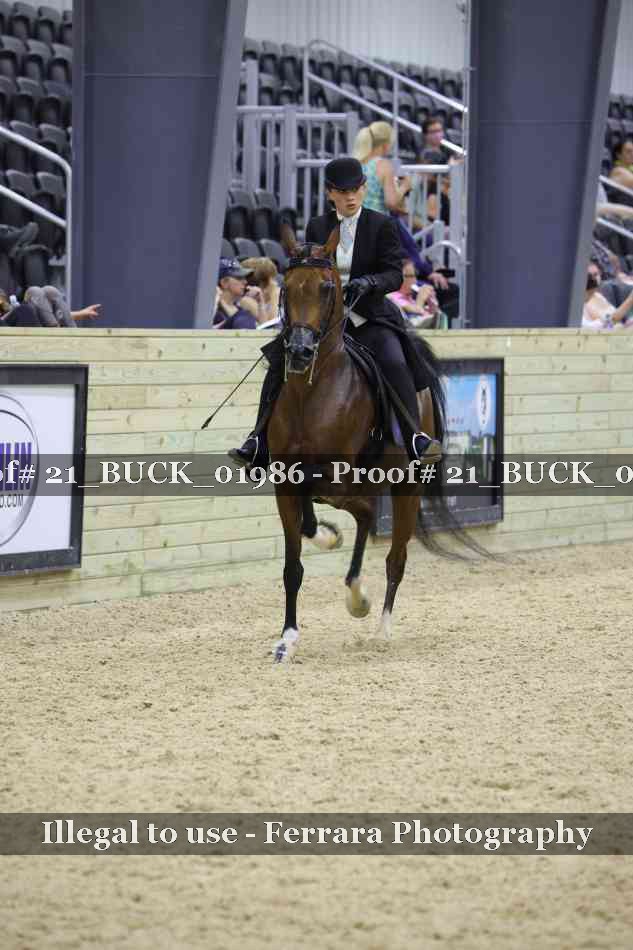 Proof 21_BUCK_01986