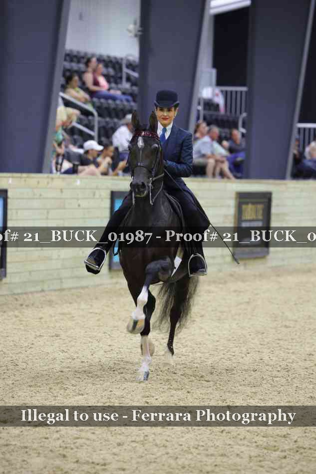 Proof 21_BUCK_01987