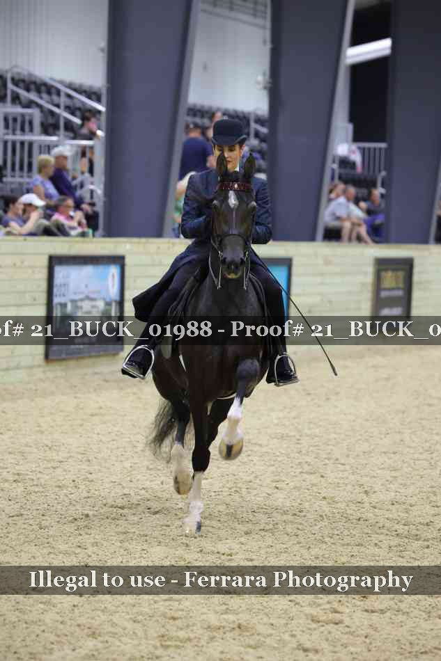 Proof 21_BUCK_01988