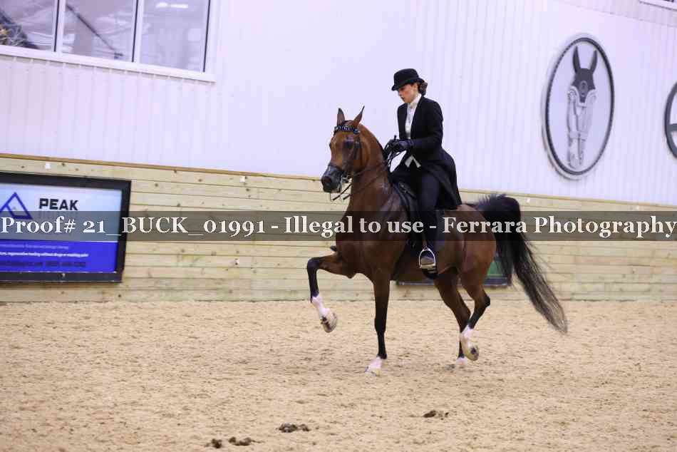 Proof 21_BUCK_01991