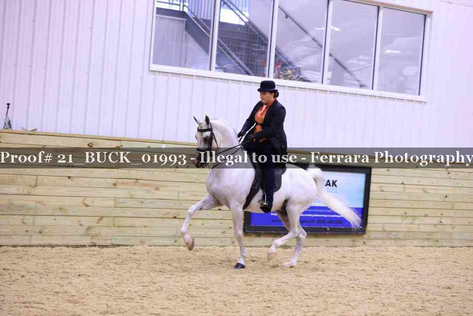 Proof 21_BUCK_01993