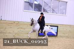 21_BUCK_01993 proof