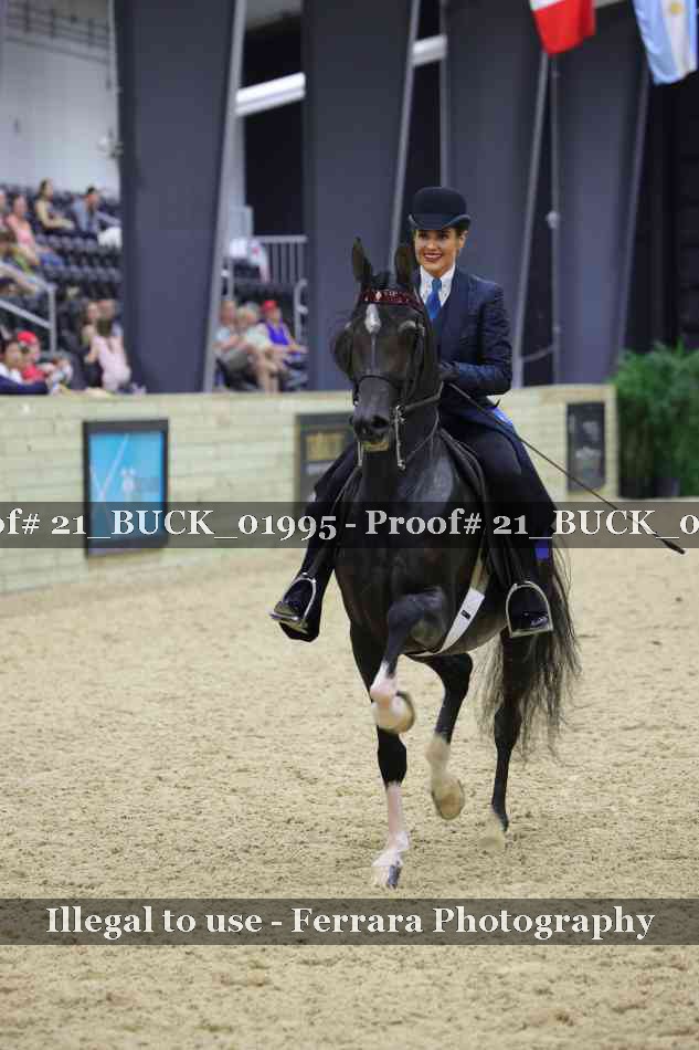 Proof 21_BUCK_01995