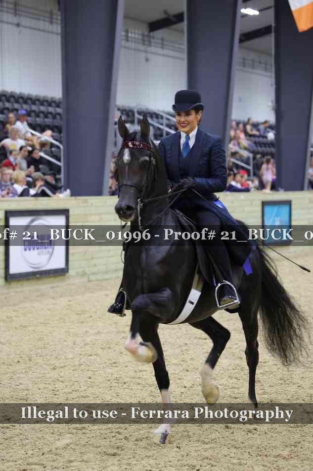 Proof 21_BUCK_01996