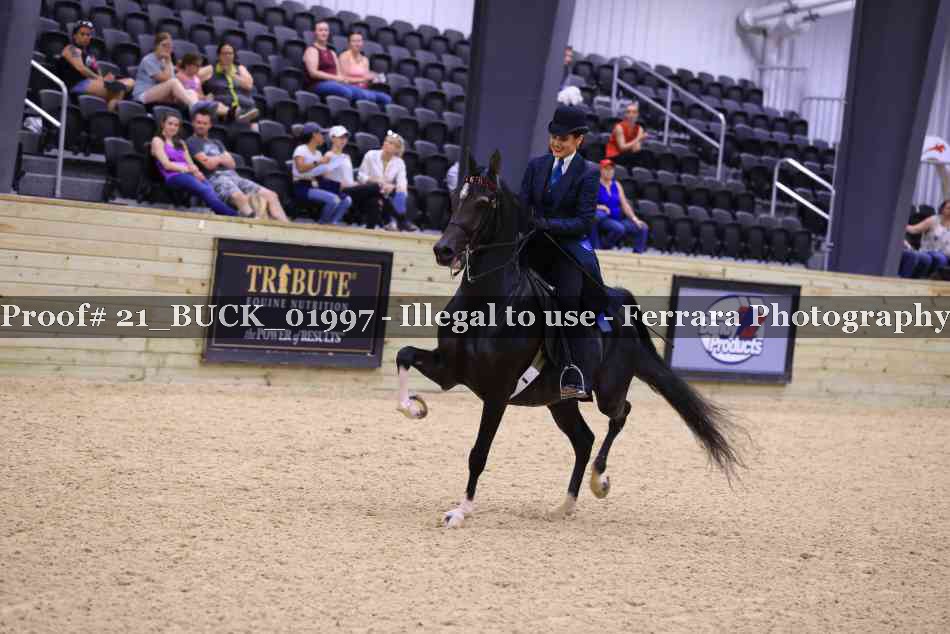 Proof 21_BUCK_01997