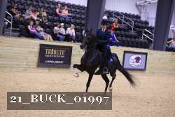 21_BUCK_01997 proof