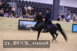 21_BUCK_01998 proof